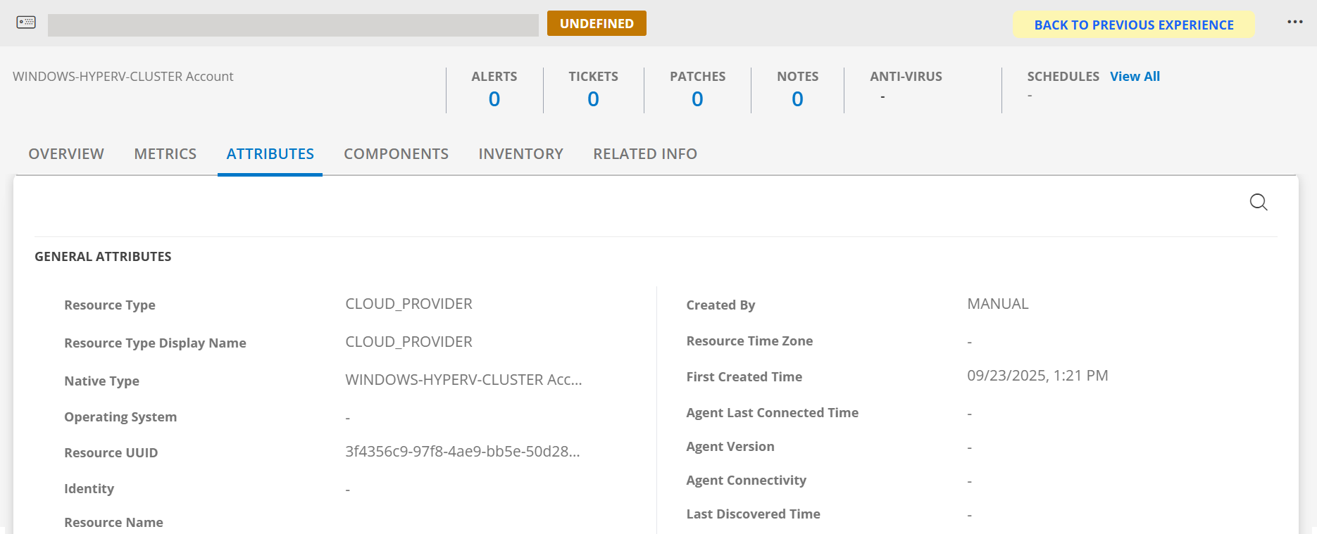 Windows Hyper V cluster - resource details screen